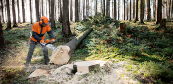 Produktvorf&uuml;hrung Kettens&auml;ge Stihl
