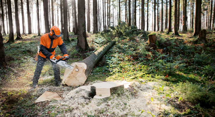 Produktvorführung Kettensäge Stihl
