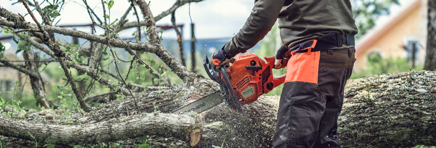 Produktvorf&uuml;hrung Forstarbeit Motors&auml;ge - Husqvarna.