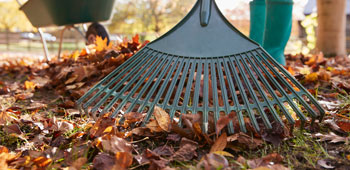 Produktvorf&uuml;hrung Rechen in Laub