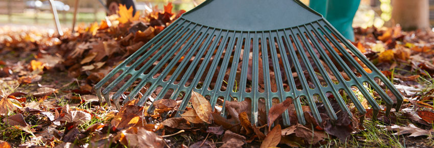 Produktvorf&uuml;hrung Rechen in Laub