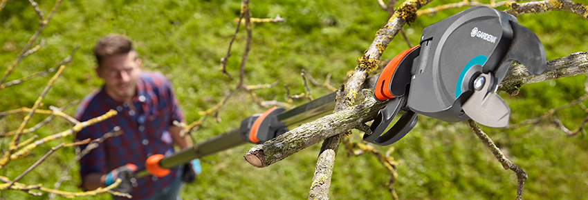 Mann arbeitet mit einem Elektro-Teleskop-Hochentaster.