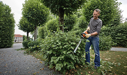 Mann schneidet eine Hecke mit einer Elektro-Heckenschere von der Marke Stihl.