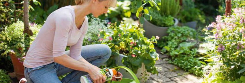 Frau bef&uuml;llt Gieskanne mit D&uuml;nger.