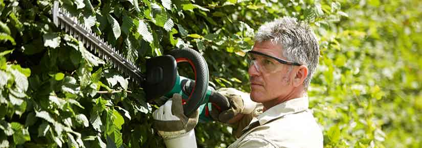 Mann schneidet Hecke mit einer elektrischen Heckenschere