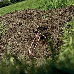 1238430 - W&uuml;hlmausfalle 2 Stk./Pkg. bayrische Drahtfalle