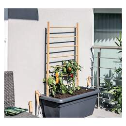 1295965 - Holz-Rankhilfe Leiter 60x120cm