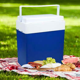 1308366 - K&uuml;hlbox 30l Ma&szlig;e: ca. 39,5x24,5x46cm