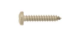 1122699 - Blechschraube Edelstahl A2 DIN 7981