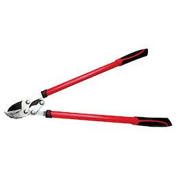 1071499 - Astschere Ambo&szlig;