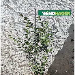 1006860 - Pflanzstab Stahl gr&uuml;n 11mm m. Wasseranzeiger  terracotta