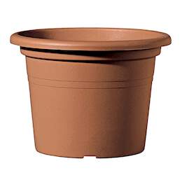 1086123 - Blumentopf Day R cotto