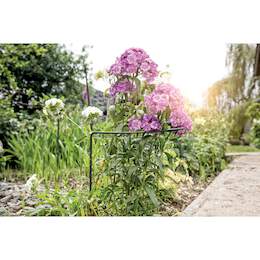 1136718 - Staudenst&uuml;tze 35x40cm