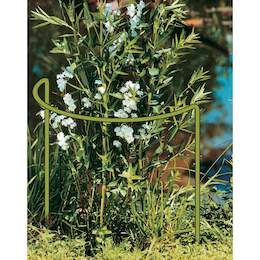 1136719 - Staudenst&uuml;tze 70x40cm