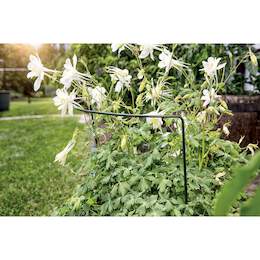 1136720 - Staudenst&uuml;tze 100x40cm