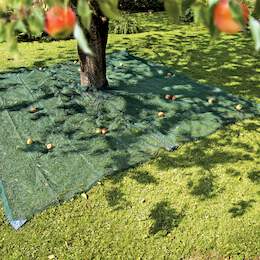 1238463 - Erntenetz f. Obst u. N&uuml;sse 4x4m