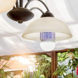 1252957 - Lichtfalle-Leuchtmittel 2in1