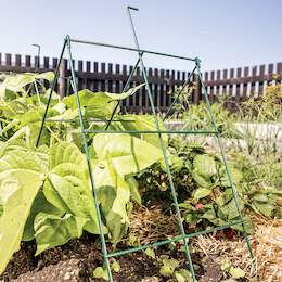 1252963 - Rankgitter klappbar gr&uuml;n 30x100cm