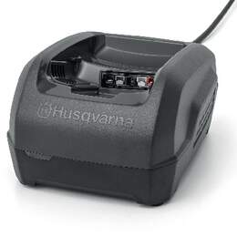 1259043 - Ladeger&auml;t QC250