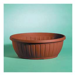 1259779 - Blumenschale Day R cotto