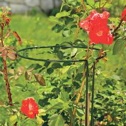 1273214 - Staudenst&uuml;tzen 2-teilig 70cm