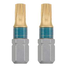 1287287 - Bit Titan Torx 10x25mm 1 Pkg.=2Stk.