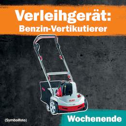 1288676 - Benzin-Vertikutierer 1 WE Leihdauer